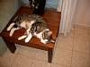 imgp0557.jpg